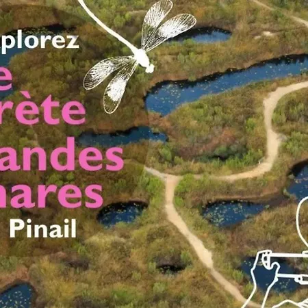 Les Sibylles * Châtellerault