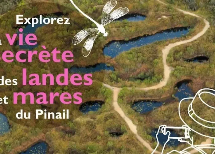 Les Sibylles * Châtellerault